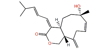 Isoxeniatine B